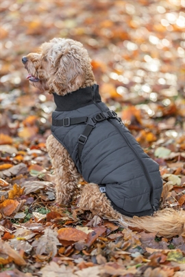 Trixie Pontis hundedækken med sele - Blå